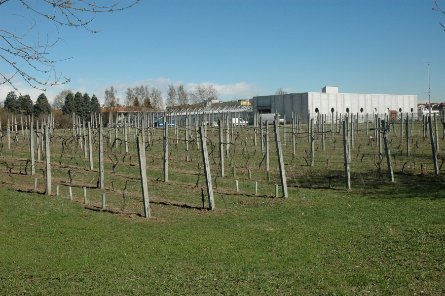 univ torino